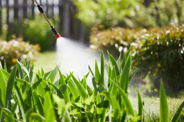 Tamper-Resistant Bait Stations for Rodents in Brooks