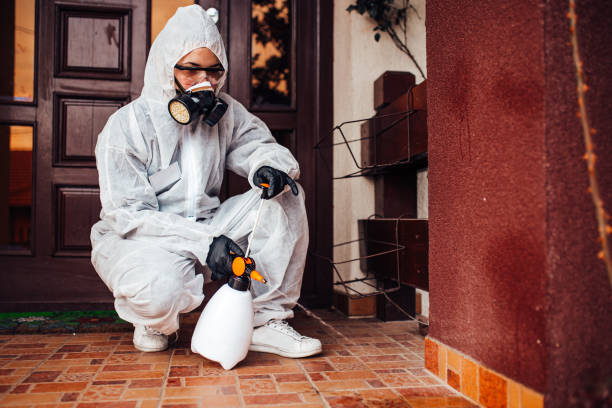 Attic and Crawl Space Rodent Treatment in Brooks