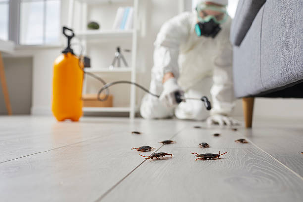 Commercial Rodent Management in Brooks